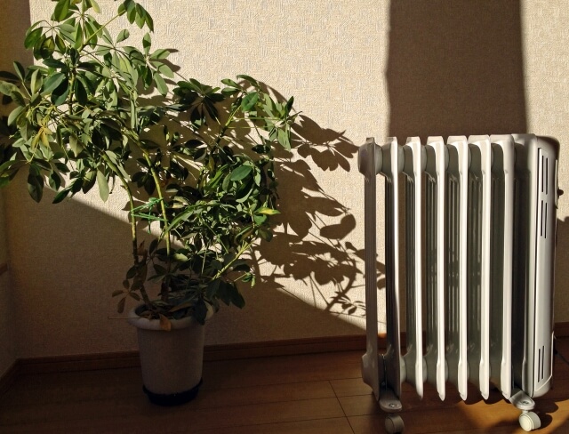 部屋の中の陽だまりとオイルヒーター